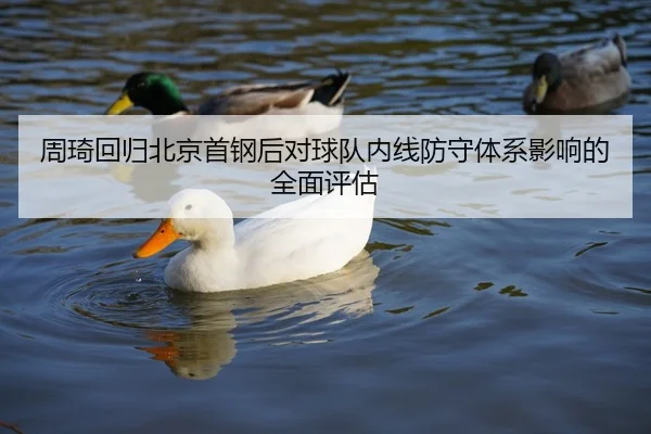 周琦回归北京首钢后对球队内线防守体系影响的全面评估