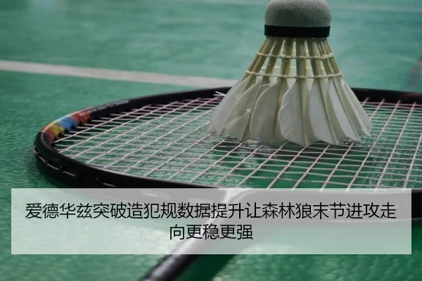 爱德华兹突破造犯规数据提升让森林狼末节进攻走向更稳更强